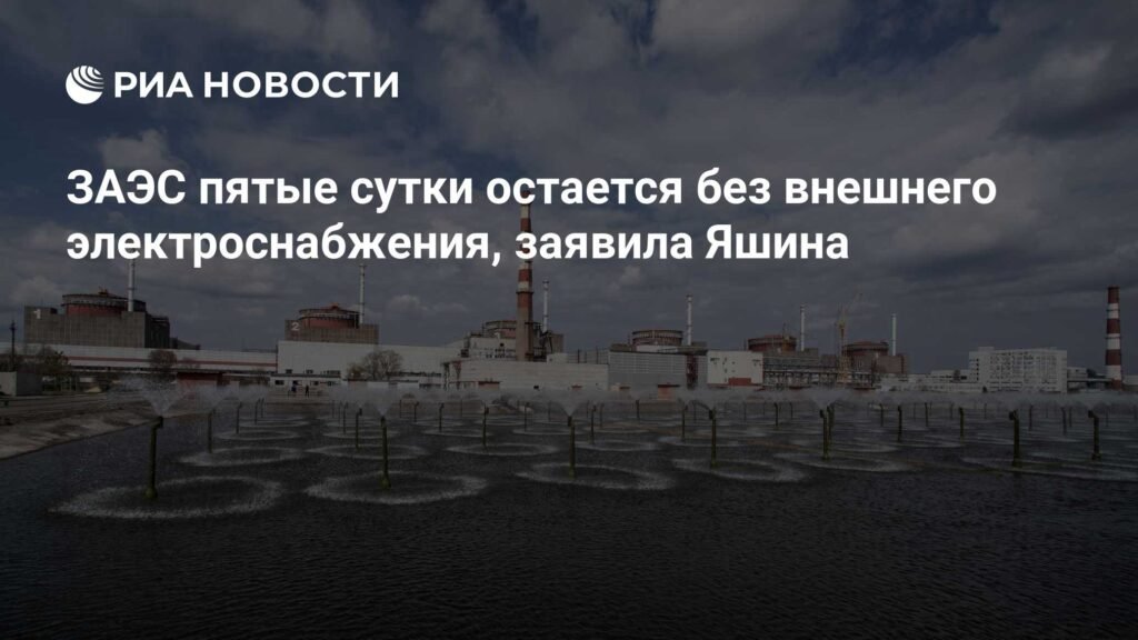Zaporizhzhia Nuclear Plant Without External Power for Fifth Day, Says Yashina