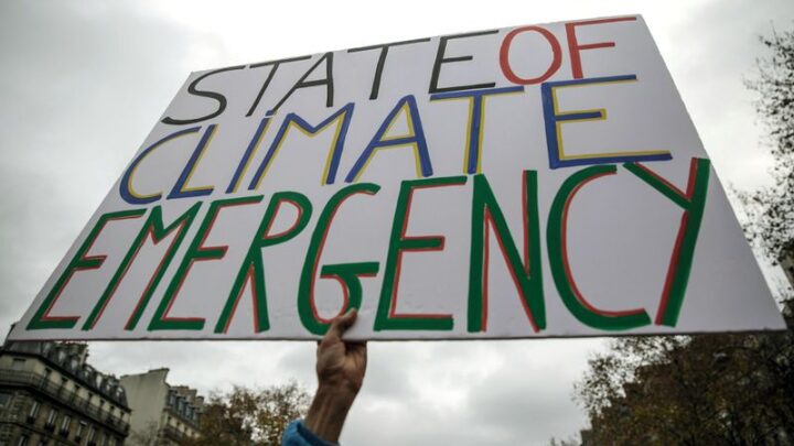 Suppressed UK Report Warns of Climate-Driven Ecosystem Collapse in Europe