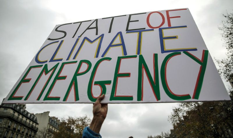 climate-driven ecosystem collapse