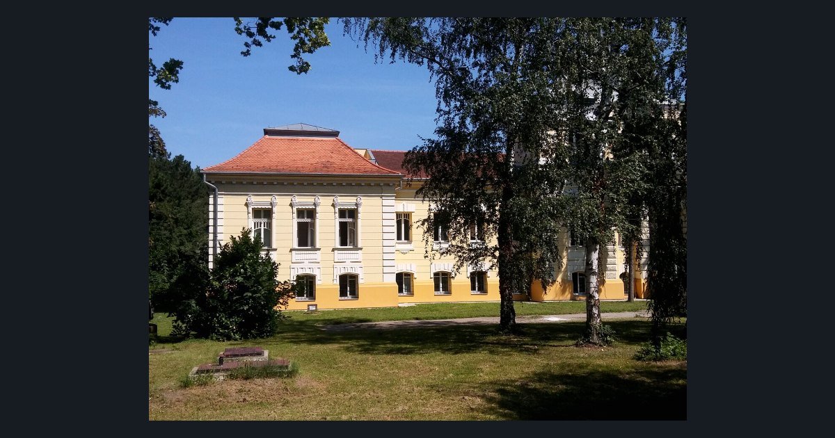 Вучић митинг Новом Саду робијаши